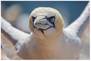 Helgoland im Sommer